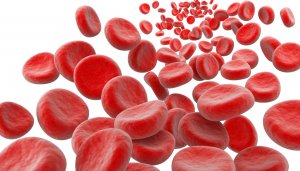 Hemoglobina cum să trateze Hemoglobina cum să trateze
