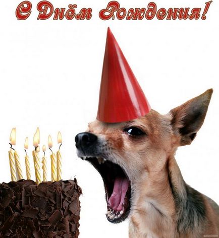 câini de cărți poștale Happy Birthday