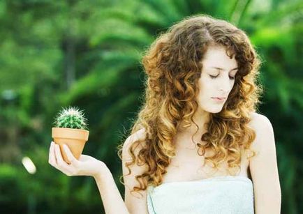 Cum să aibă grijă de cactusi acasă Cum să aibă grijă de cactusi acasă