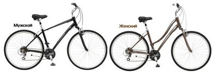 Ceea ce distinge de sex feminin de sex masculin cu bicicleta