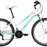 Ceea ce distinge de sex feminin de sex masculin cu bicicleta