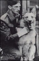 10 câine celebru al doilea război mondial