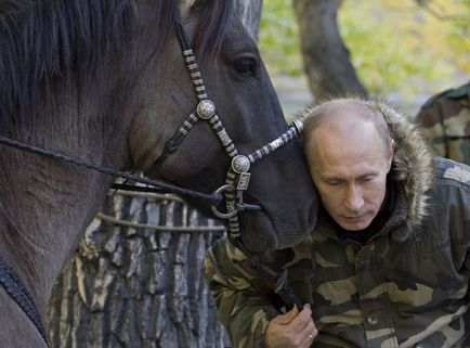 20 Cele mai izbitoare fotografii ale lui Putin cu animale, mai proaspăt - cel mai bun din ziua în care ați avea nevoie vreodată!