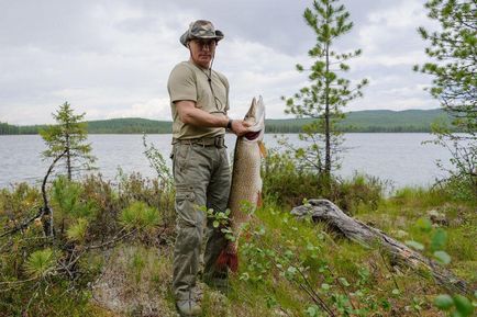 20 Cele mai izbitoare fotografii ale lui Putin cu animale, mai proaspăt - cel mai bun din ziua în care ați avea nevoie vreodată!