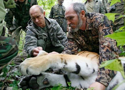 20 Cele mai izbitoare fotografii ale lui Putin cu animale, mai proaspăt - cel mai bun din ziua în care ați avea nevoie vreodată!