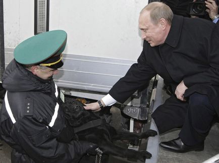 20 Cele mai izbitoare fotografii ale lui Putin cu animale, mai proaspăt - cel mai bun din ziua în care ați avea nevoie vreodată!