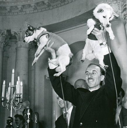 23 Date despre primul cosmonaut - câinele Laika, eroul Uniunii Sovietice