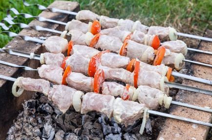 8 moduri de a marinat carnea pentru un shish kebab