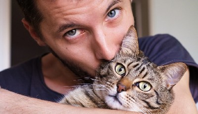 simptome de alergie pisică, semne, și cât de repede apare la adulți
