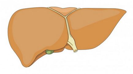 simptome hepatita autoimuna, diagnostic și tratament