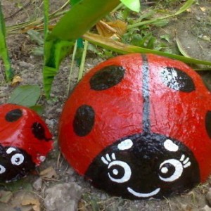 Ladybird pentru cabane cu propriile mâini