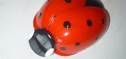 Ladybird din sticle de plastic