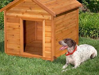 Booth reguli pentru construirea unui câine, dimensiunea de calcul și a materialelor necesare