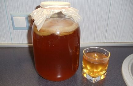 Kombucha cum să crească de la zero la la domiciliu (să crească) Kombucha cum să crească de la zero-te acasă