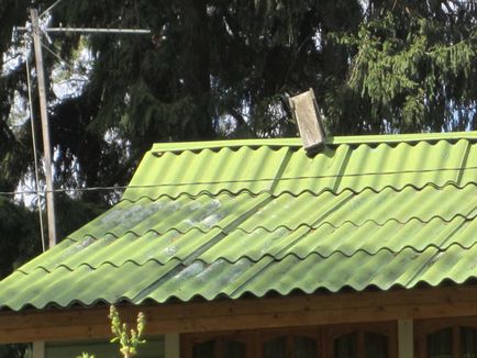 Decât să acopere acoperișul la dacha lui necostisitor răspunsuri expert