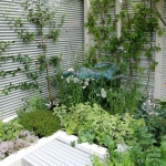 Ce să planteze și locul într-un colț al grădinii, 22 de recepție și 87 de fotografii