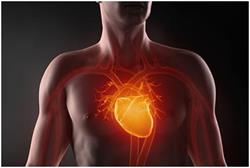 Ce este aortică gradul 1 regurgitare