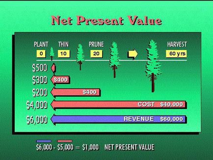 Care este valoarea actualizată netă a veniturilor proiectului