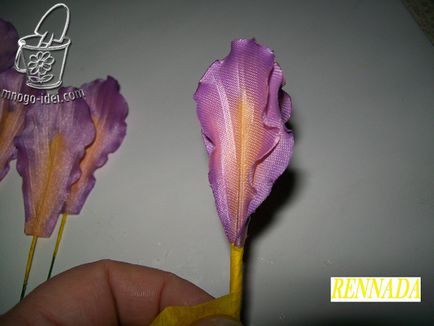 Flori cu propriile sale mâini, iris maestru de clasă