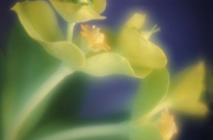 Etapele de dezvoltare meditației transcedentale - o imagine a lumii (meditație) Etapele de dezvoltare meditației transcedentale - o imagine a lumii