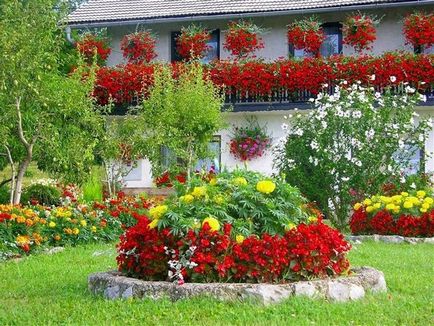 Forma paturi de flori originale si frumoase flori, casa de vis