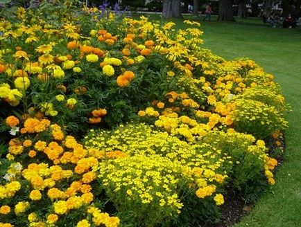 Forma paturi de flori originale si frumoase flori, casa de vis