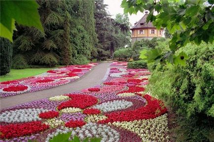 Forma paturi de flori originale si frumoase flori, casa de vis