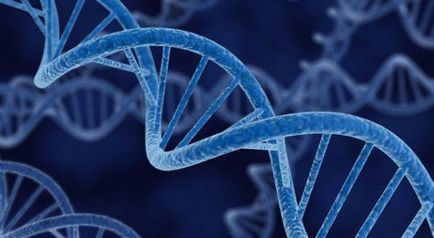 Gene, genom, definiția cromozomului, structura, funcția