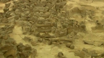 Ipoteza de arheologi în cazul în care a apărut primul om