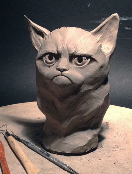 Grumpy pisica - pisica foarte supărat - faimoasa pisica