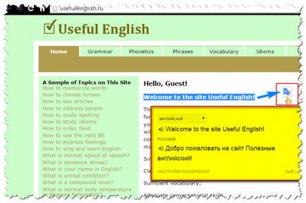Google translator (mouse-ul buton pictogramă) Google translator
