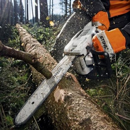 Instrucțiuni despre cum să taie în mod corespunzător o drujba copac