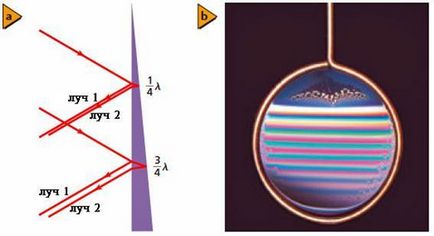 Interferența și Diffraction (a se vedea reciproc) Interferența și difracția