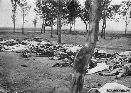 Istoria Armeniei - genocidului armean
