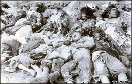 Istoria Armeniei - genocidului armean