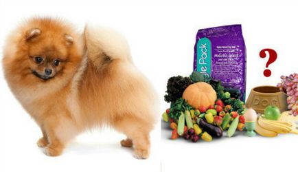 Ca Pomeranian de alimentare decât toate caracteristicile de putere naturale și industriale