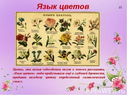 Care sunt culorile care simbolizează valoarea violete, Cullen, margarete, trandafiri