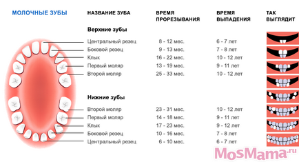 Care dinți schimba în perioada de copii, prioritate