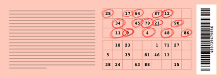 Cum de a juca la loterie „Lotto rus“, informații cu privire la loterii