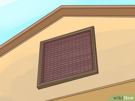 Cum să scapi de muște în casă