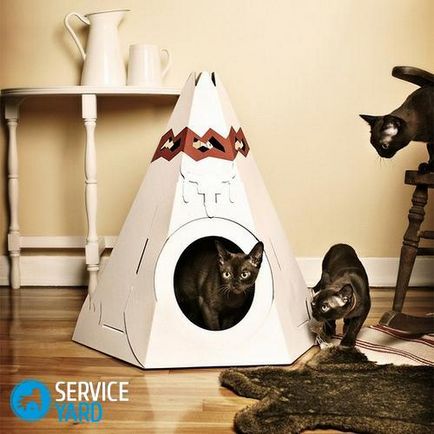 Cum sa scapi de păr de pisică în apartament, serviceyard-confortul de acasă la îndemână