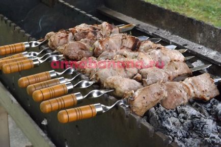 Cum se marineaza carnea de shish kebab