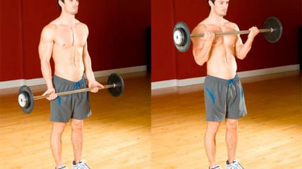 Cum de a construi programul de formare halteră gantera biceps și și cele mai bune exerciții