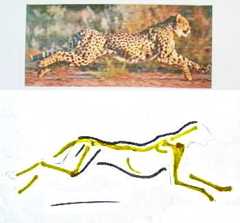 Cum să atragă un ghepard