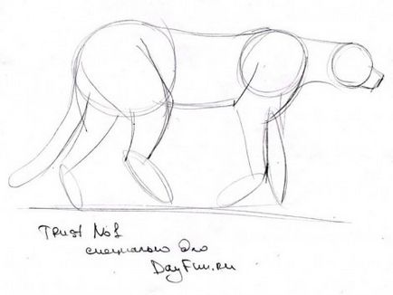 Cum de a desena un ghepard etape creion - lectii de desen - utile cu privire la artsphera