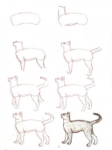 Cum de a desena o pisica
