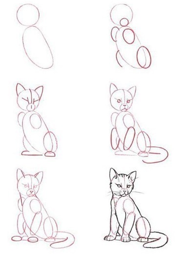 Cum de a desena o pisică în etape diagrame și clipuri video pentru începători