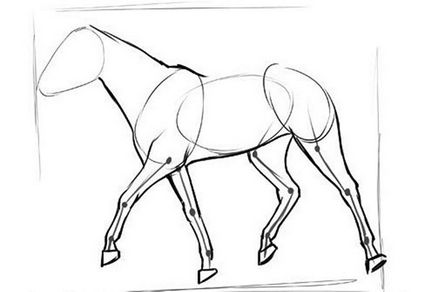 Cum de a desena un creion etape de cai pentru incepatori
