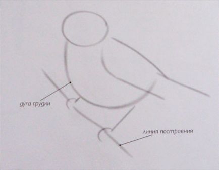 Cum de a desena un creion pasăre etape