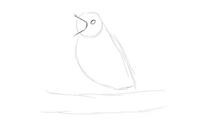 Cum de a desena un creion etape pasăre - imagini și desene pe desktop gratuit